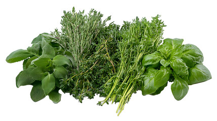 Green vegetables and herbs assortment on a white background.
