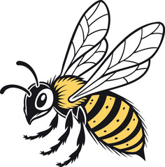 bee vector illustration on a transparent background