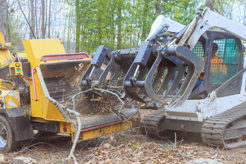 Workers use heavy machinery to remove fallen branches, debris in wooded area during deforestation