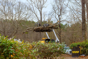 Workers use heavy skid steer machinery to remove large tree branches in wooded area, clearing debris after storm.