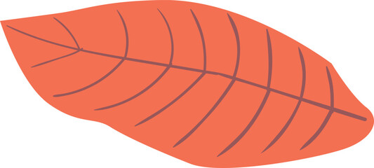 Autumn forest leaf vector illustration