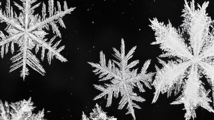 Intricate Droplets Forming Unique Patterns on a Frosted Surface Captured in Stunning Detail, Showcasing Nature's Artistry and Beauty in High Resolution