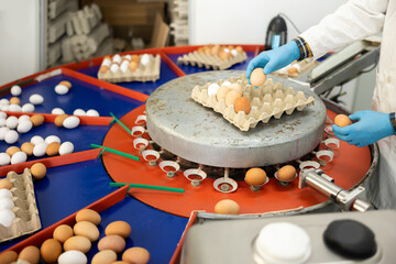 Workers' hands in the egg sorting shop