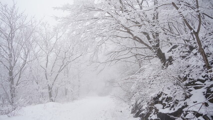 Winter snow flower scenery of Gajisan Mountain in Korea