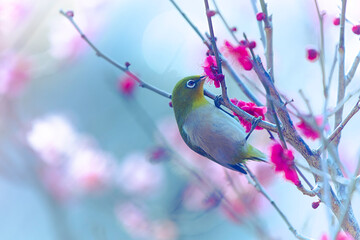 Emerald Messenger of Spring