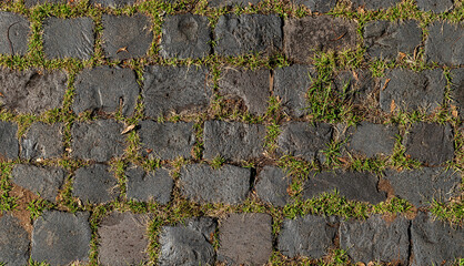 Texture of cobblestone soil with weeds
