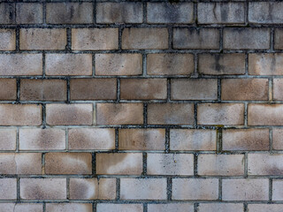 Risse und Feuchtigkeit an einer Mauer