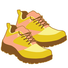 Pair of hiking shoes