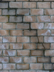 Risse und Feuchtigkeit an einer Mauer