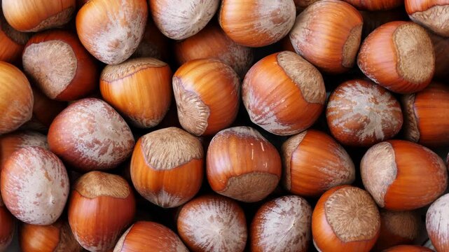 Hazelnut abstract background, top view. Rotate