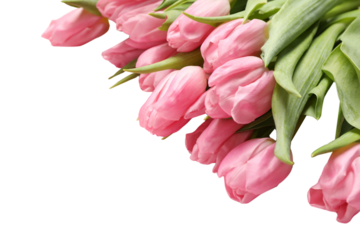 8 March, International Women's Day, bouquet of pink tulips and box with a gift, space for text, isolated on white background, PNG