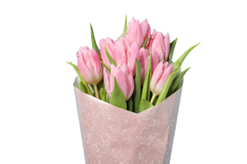 8 March, International Women's Day, bouquet of pink tulips wrapped in paper, close up, isolated on white background, PNG