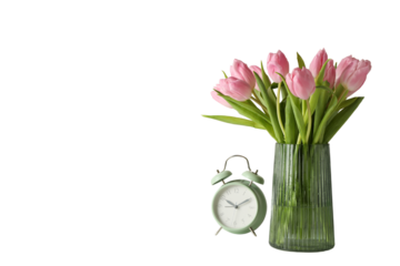 8 March, International Women's Day, bouquet of pink tulips and box with a gift, space for text, isolated on white background, PNG