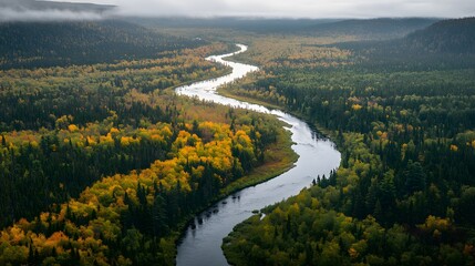 Obraz premium A panoramic river winding through dense forest in early autumn light