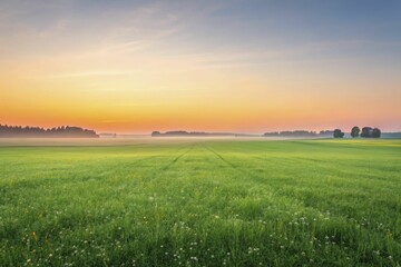 Obraz premium A minimalist abstract view of a meadow at sunrise, with soft green hues, crisp lines, and a gentle interplay of natural light and shadow