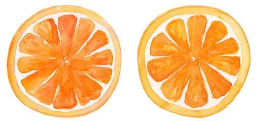 Orange slice watercolor set collection hand drawn and painted on isolated background