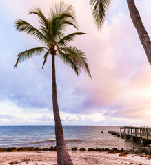 Wooden Dock and Palm Trees on Casa Marina Beach, Key West Florida, USA