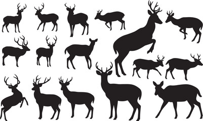 Chital (Spotted Deer) Silhouettes