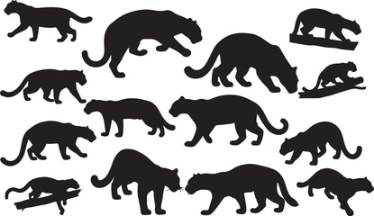 Fototapeta premium Clouded Leopard Silhouettes