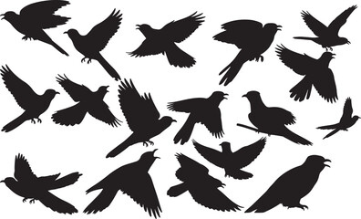 Cuckoo Silhouettes