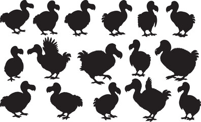 Dodo Silhouettes © Rizwan Ahmad