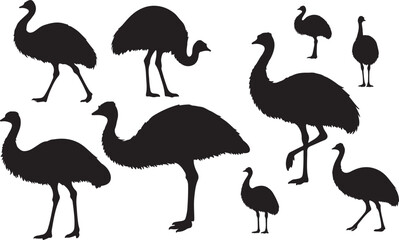 Emu Silhouettes