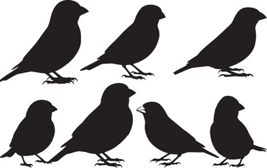 Finches Side View Silhouette