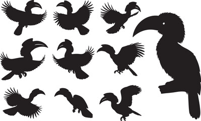 Hornbill Silhouette Vector Set © Rizwan Ahmad