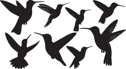 Hummingbird Silhouette Vector Set