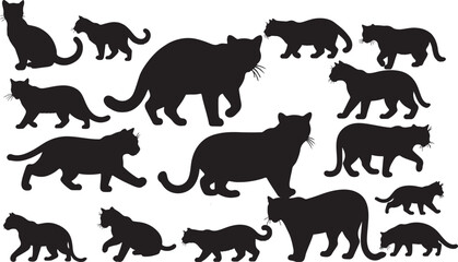 Jungle Cat Silhouettes © Rizwan Ahmad