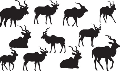 Kudu Silhouette on White Background