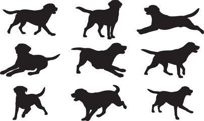 Labrador Retriever Silhouette on White Background