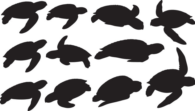 Leatherback Turtle Silhouettes