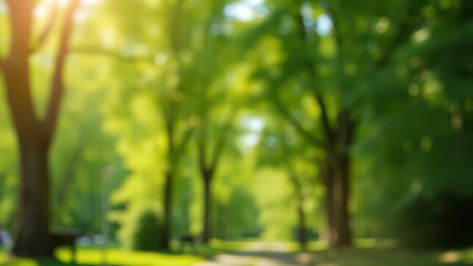 blurred image of a park with a bench and trees, 