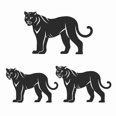 Obraz premium vector illustration of a set of tiger