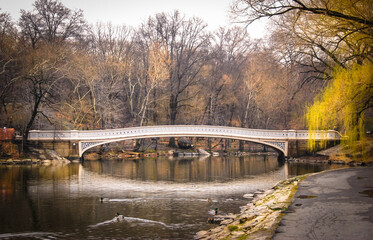 Obraz premium Bow Bridge, late autumn, Central Park, NYC