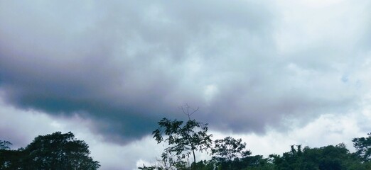 A stunning view of a dense forest beneath a heavy, overcast sky