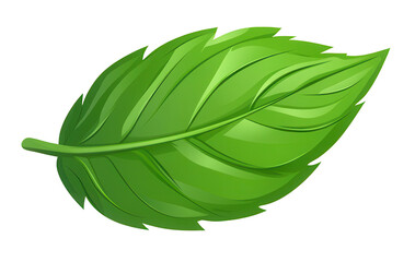 Obraz premium Fresh green leaf illustration.