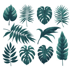 Tropical Leaves Vector Set: Botanical Illustration