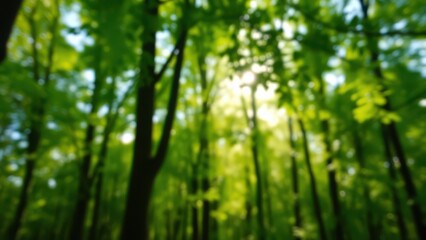 Obraz premium a close up of a forest with lots of trees and leaves