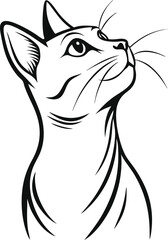 Obraz premium Curious Cat Looking Up.