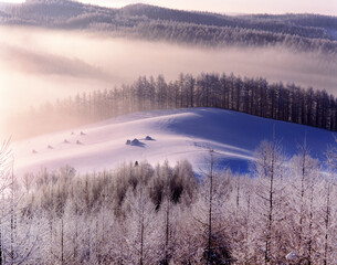 日の出前の丘(美瑛町）
