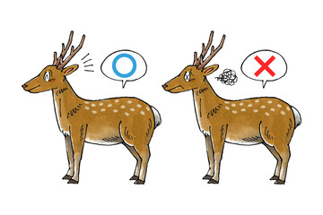 鹿マルバツセット