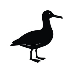Albatross Silhouette Vector | Black and White Albatross Bird Illustration