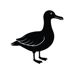 Albatross Silhouette Vector | Black and White Albatross Bird Illustration