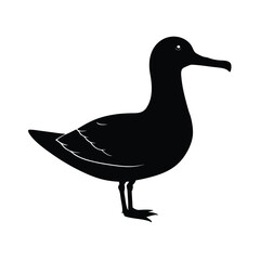 Albatross Silhouette Vector | Black and White Albatross Bird Illustration