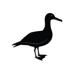 Albatross Silhouette Vector | Black and White Albatross Bird Illustration