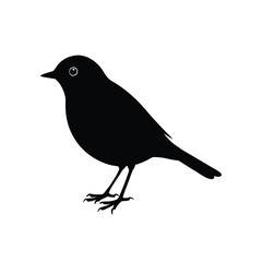 Obraz premium American Robin Silhouette Vector | Black and White Robin Bird Illustration