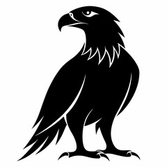 eagle vector illustration