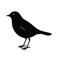 Obraz premium Blackbird Silhouette Vector Art | Black and White Blackbird Bird Illustration